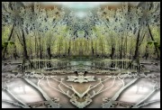 Hidden Slough - 2