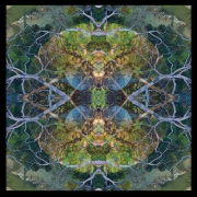 Mandala - 3