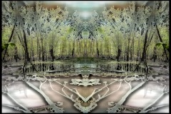 Hidden Slough - 2