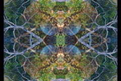 Mandala - 3
