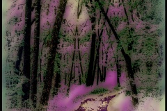 Purple Path