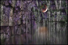 Purple Place